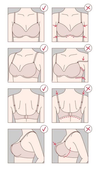 āϏāĻžāĻāĻ āĻĢāĻŋāĻāĻŋāĻ āĻĒā§āϰāĻļā§āύā§āϰ āĻāĻĻāĻžāĻšāϰāĻŖ