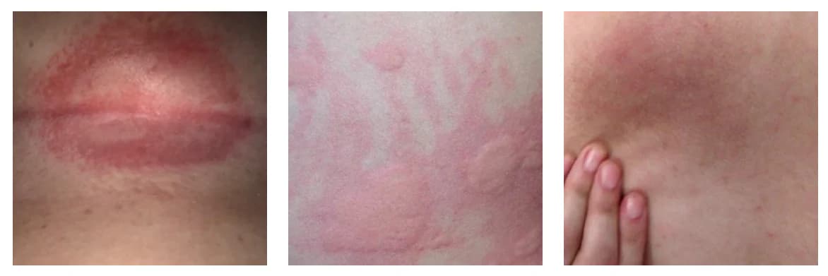 āĻāĻžāĻĒ-āĻĢā§āϰāĻŋ āĻĄāĻŋāĻāĻžāĻāύā§āϰ āϏā§āĻŦāĻŋāϧāĻž